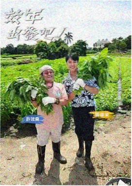 韩国综艺单身即地狱封面